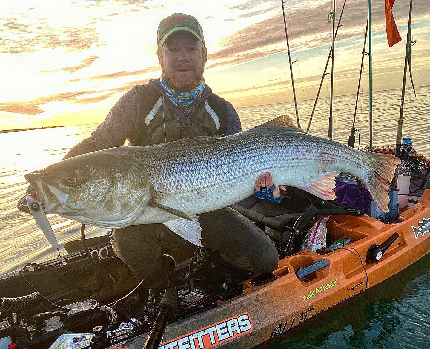 Getting Spooky: 5 Topwater Spooks and Their Specs