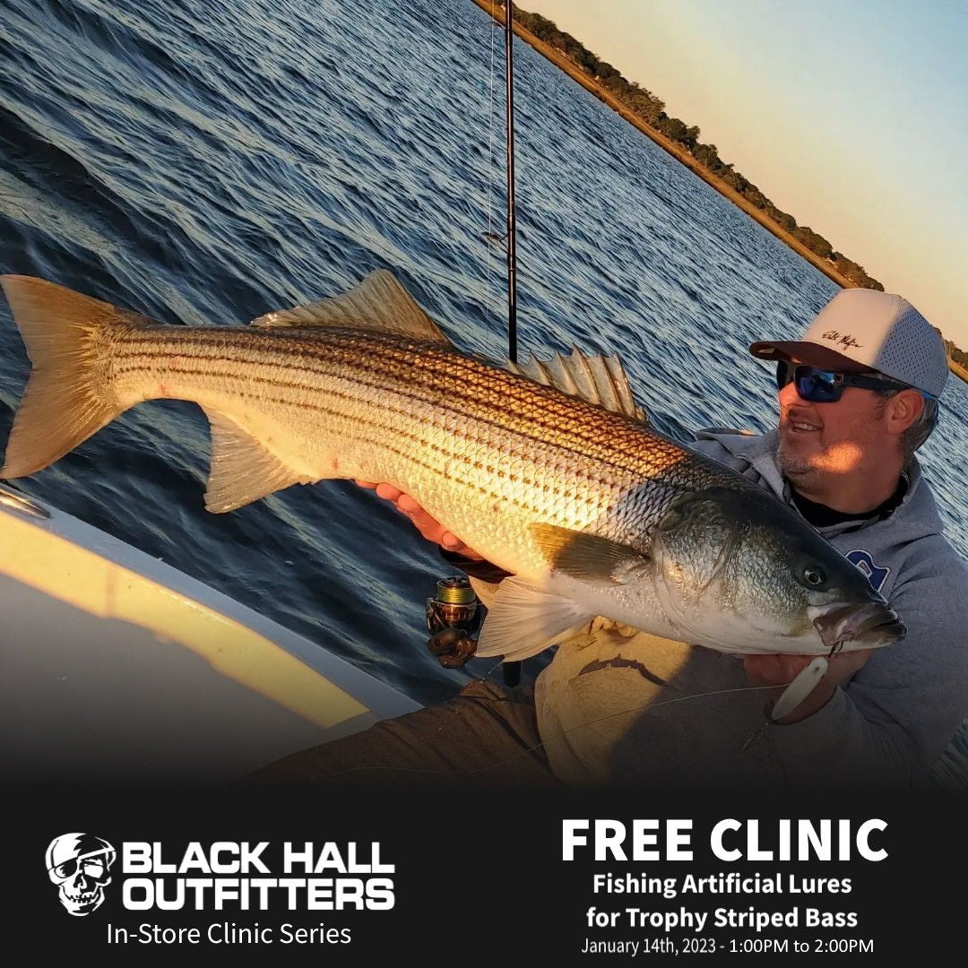 BHO In-Store Clinic Series: January 14th 2023