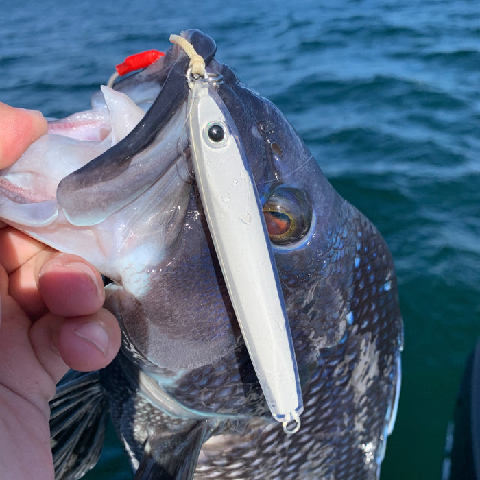 May 31st - Everything except Fluke!