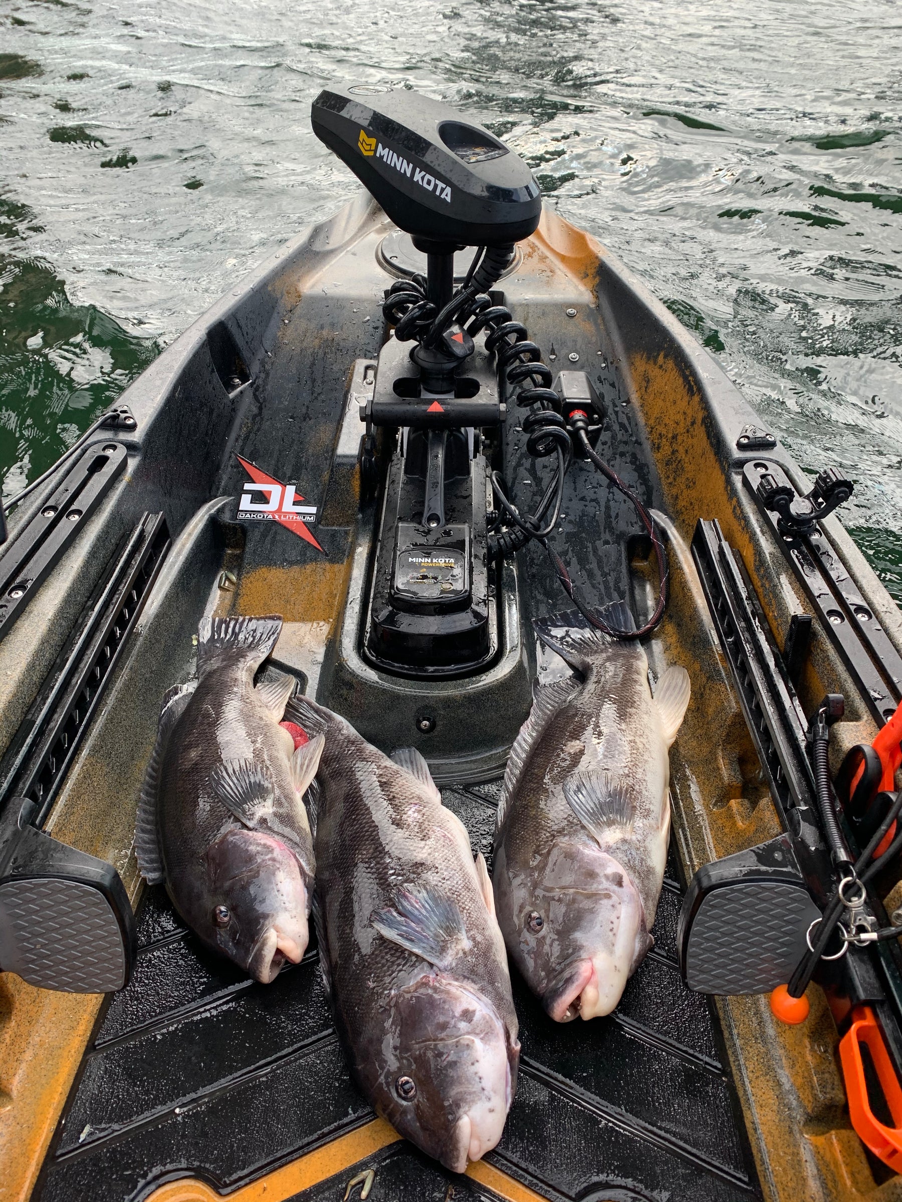 Bulldogs in the Boulders: Kayak Tautog Fishing