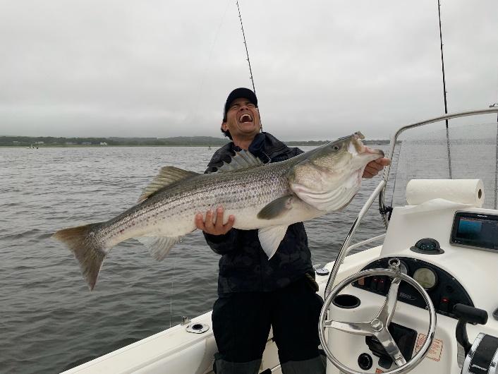June 28th - Every Tide is Bringing in Bigger Stripers