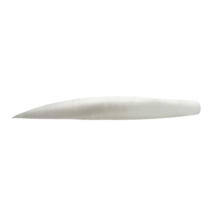Fish Snax Lures Albie Snax (6 Pack)